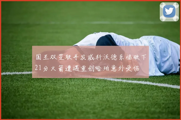 国王双星联手发威科沃德乐福砍下21分火箭遭遇重创哈珀意外受伤
